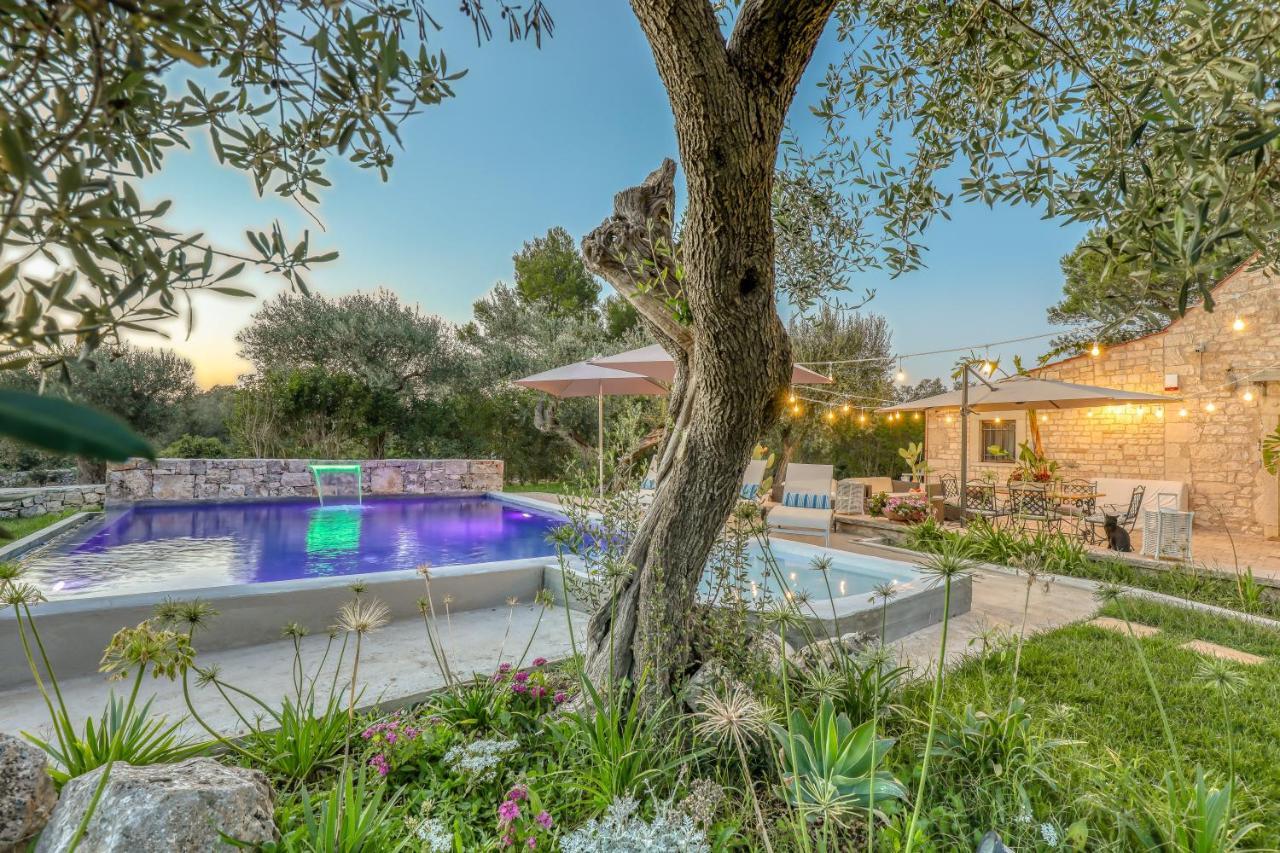 Trulli Terra Magica Bed and Breakfast Putignano Εξωτερικό φωτογραφία
